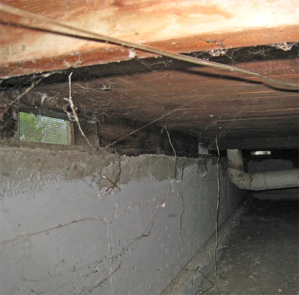 Crawlspace Water Removal in a Dallas home
