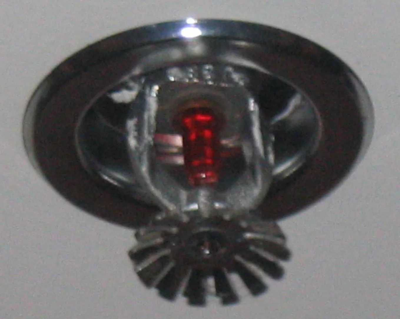Fire Sprinkler Discharge in a Dallas home