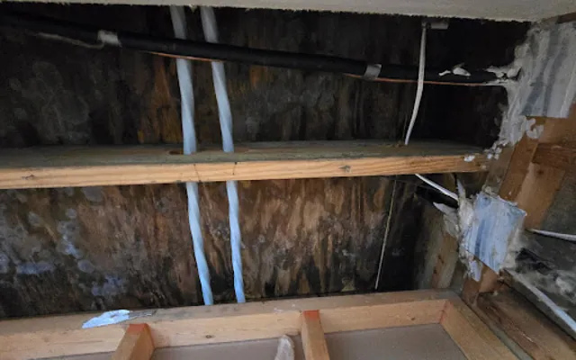 Roof Leak Water Damage in Dallas, TX