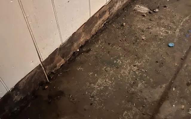 Sewage and Black Water Cleanup in Dallas, TX